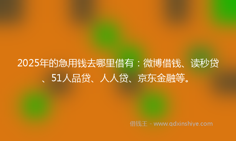 2025年的急用钱去哪里借有：微博借钱、读秒贷、51人品贷、人人贷、京东金融等。
