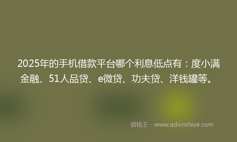 2025年的手机借款平台哪个利息低点有：度小满金融、51人品贷、e微贷、功夫贷、洋钱罐等。