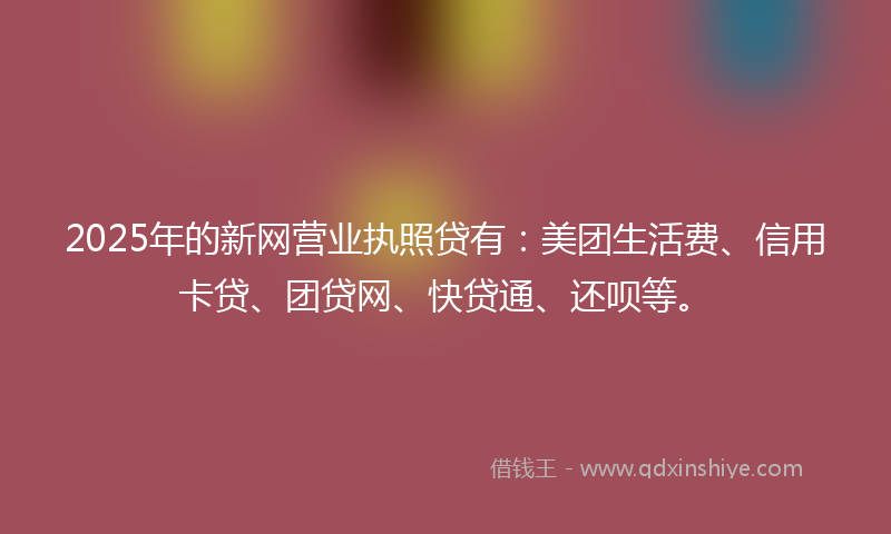 2025年的新网营业执照贷有：美团生活费、信用卡贷、团贷网、快贷通、还呗等。