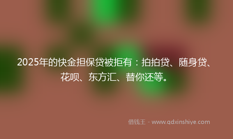 2025年的快金担保贷被拒有：拍拍贷、随身贷、花呗、东方汇、替你还等。