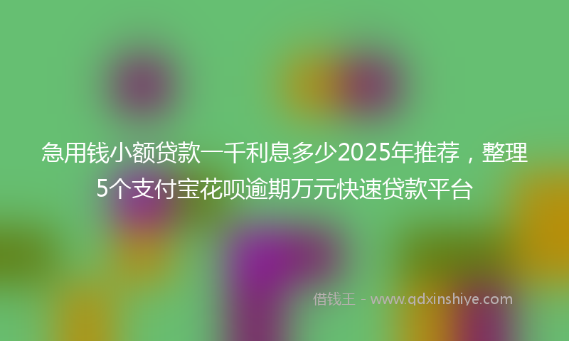 急用钱小额贷款一千利息多少2025年推荐，整理5个支付宝花呗逾期万元快速贷款平台