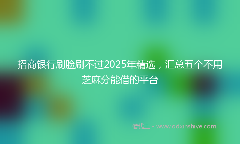 招商银行刷脸刷不过2025年精选，汇总五个不用芝麻分能借的平台