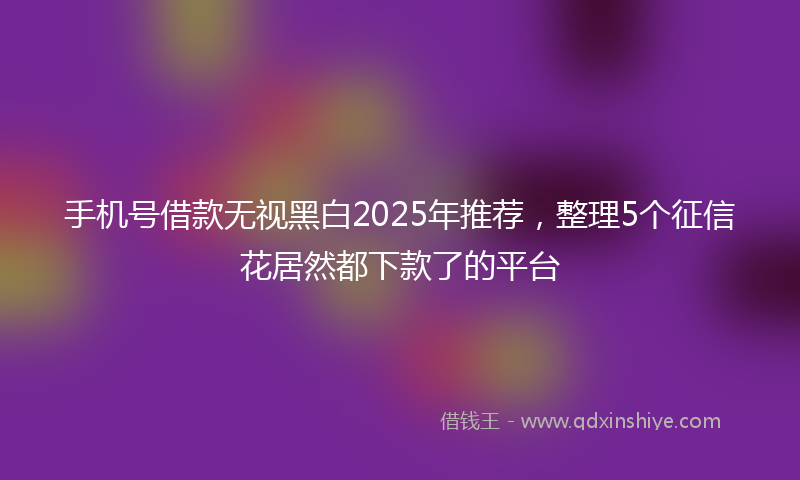 手机号借款无视黑白2025年推荐，整理5个征信花居然都下款了的平台