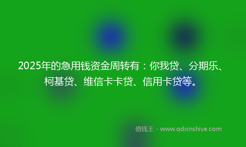 2025年的急用钱资金周转有：你我贷、分期乐、柯基贷、维信卡卡贷、信用卡贷等。