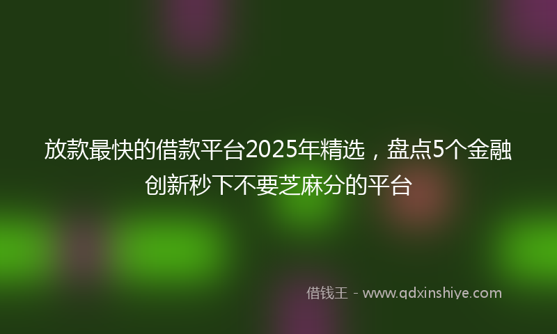 放款最快的借款平台2025年精选，盘点5个金融创新秒下不要芝麻分的平台