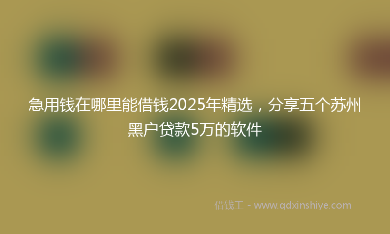 急用钱在哪里能借钱2025年精选，分享五个苏州黑户贷款5万的软件