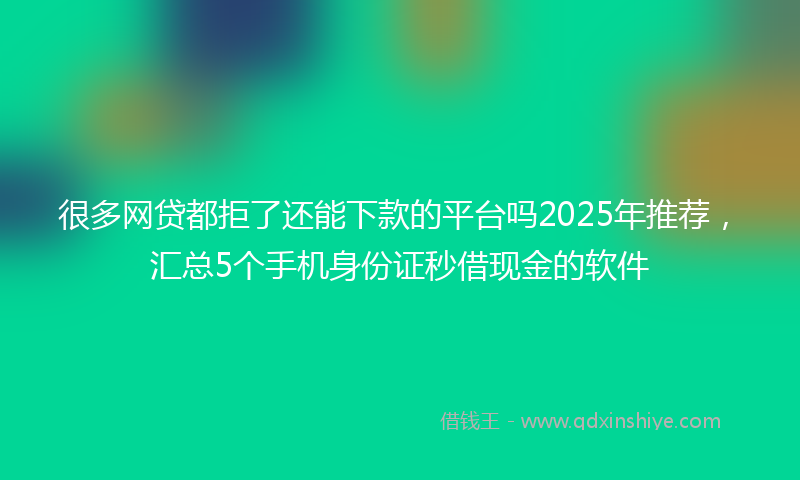 很多网贷都拒了还能下款的平台吗2025年推荐，汇总5个手机身份证秒借现金的软件