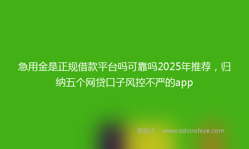 急用金是正规借款平台吗可靠吗2025年推荐，归纳五个网贷口子风控不严的app