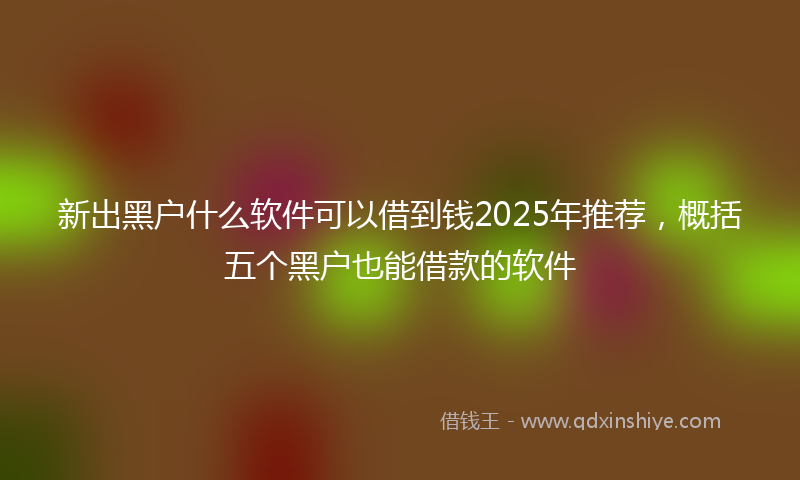 新出黑户什么软件可以借到钱2025年推荐，概括五个黑户也能借款的软件