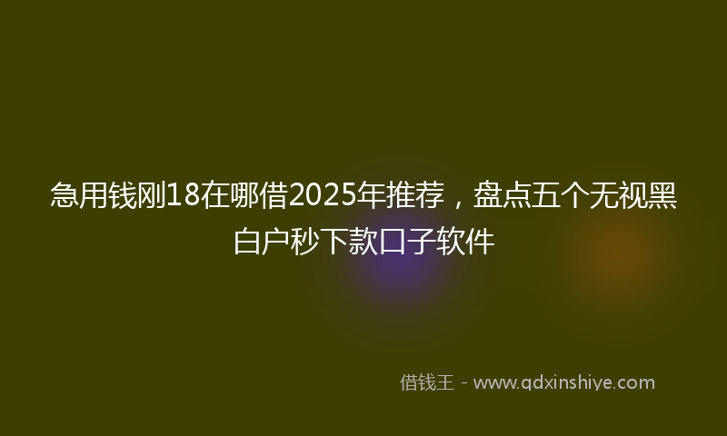 急用钱刚18在哪借2025年推荐，盘点五个无视黑白户秒下款口子软件