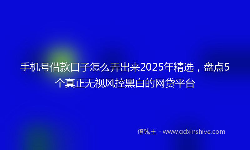 手机号借款口子怎么弄出来2025年精选，盘点5个真正无视风控黑白的网贷平台