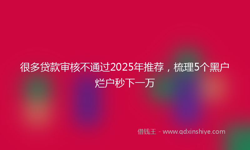 很多贷款审核不通过2025年推荐，梳理5个黑户烂户秒下一万