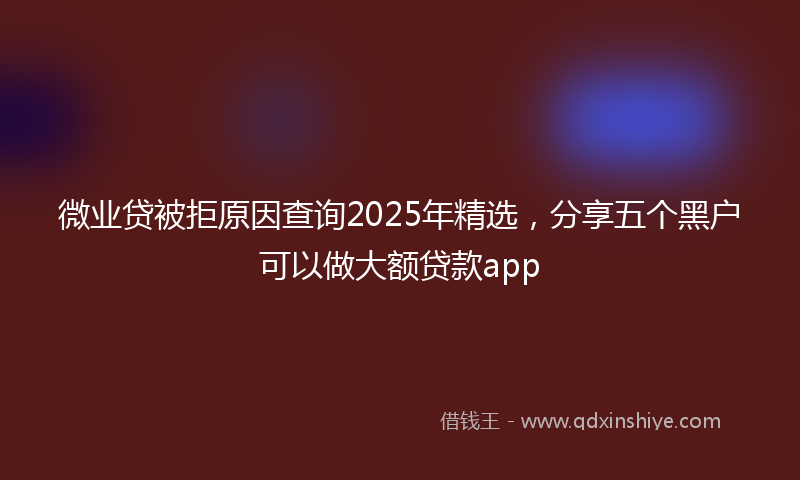 微业贷被拒原因查询2025年精选，分享五个黑户可以做大额贷款app