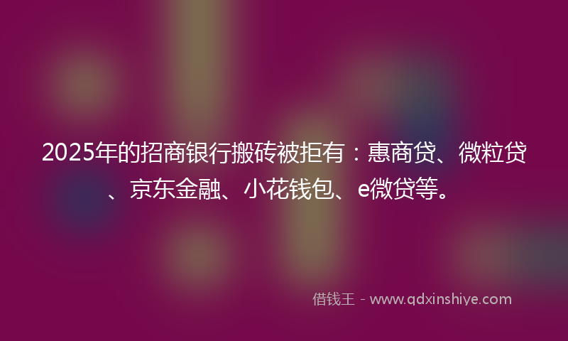 2025年的招商银行搬砖被拒有：惠商贷、微粒贷、京东金融、小花钱包、e微贷等。