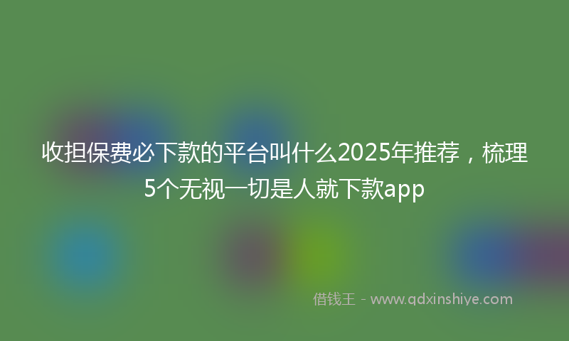 收担保费必下款的平台叫什么2025年推荐，梳理5个无视一切是人就下款app
