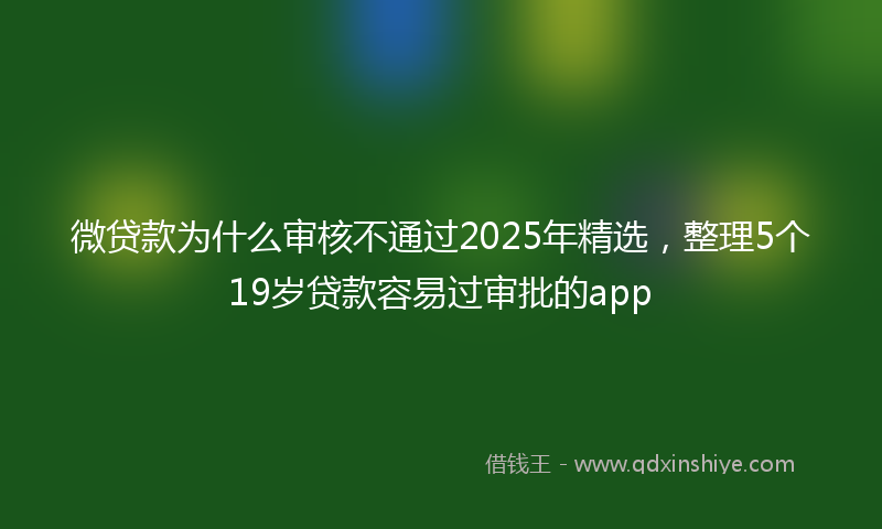微贷款为什么审核不通过2025年精选，整理5个19岁贷款容易过审批的app