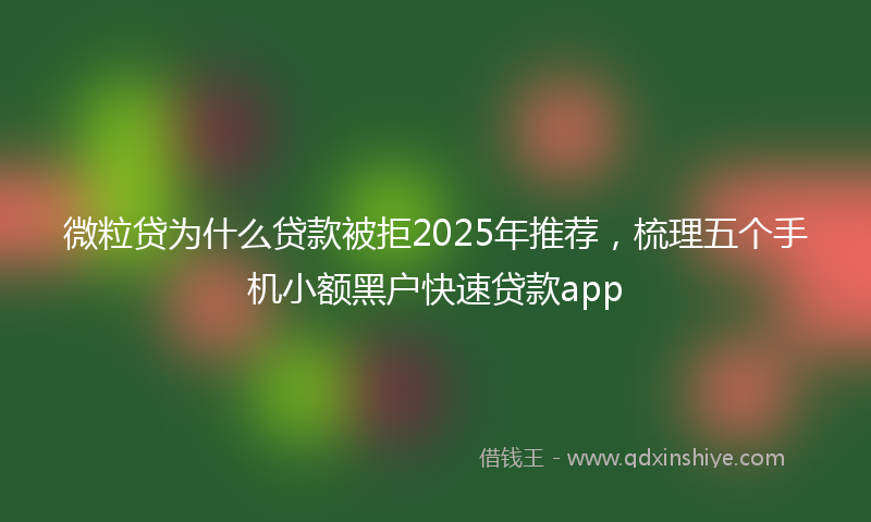 微粒贷为什么贷款被拒2025年推荐，梳理五个手机小额黑户快速贷款app