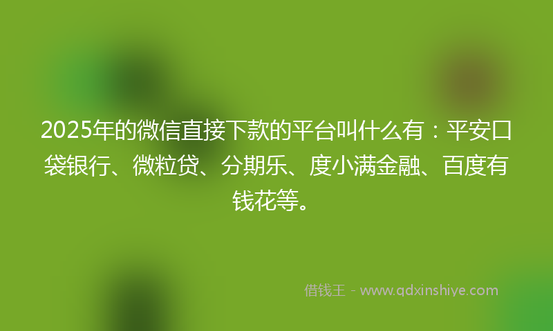 2025年的微信直接下款的平台叫什么有：平安口袋银行、微粒贷、分期乐、度小满金融、百度有钱花等。