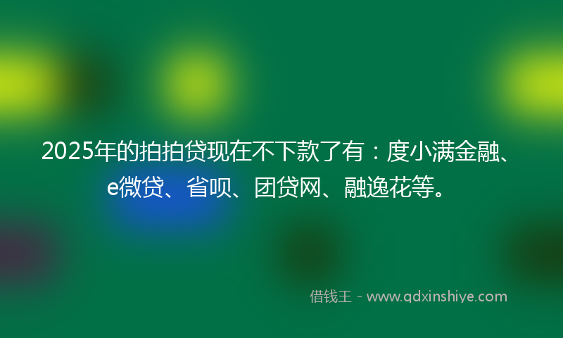 2025年的拍拍贷现在不下款了有：度小满金融、e微贷、省呗、团贷网、融逸花等。