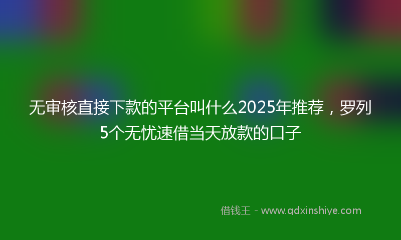 无审核直接下款的平台叫什么2025年推荐，罗列5个无忧速借当天放款的口子