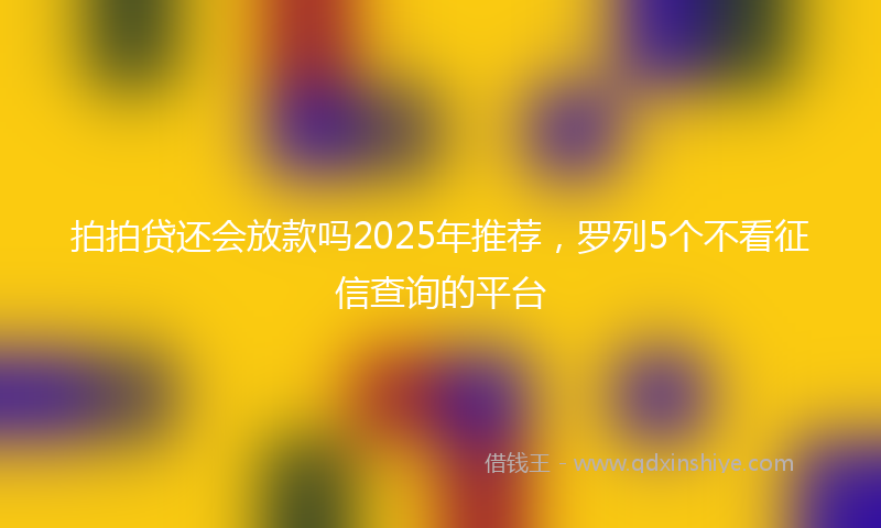 拍拍贷还会放款吗2025年推荐，罗列5个不看征信查询的平台