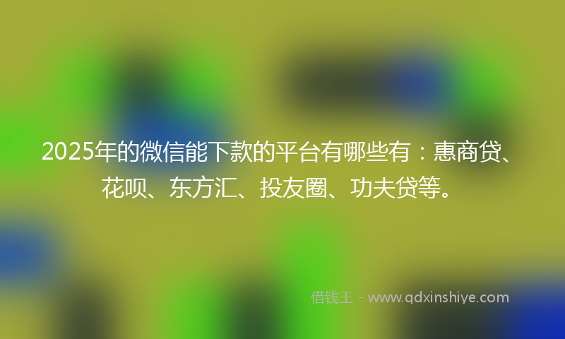 2025年的微信能下款的平台有哪些有：惠商贷、花呗、东方汇、投友圈、功夫贷等。