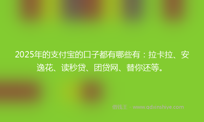 2025年的支付宝的口子都有哪些有：拉卡拉、安逸花、读秒贷、团贷网、替你还等。