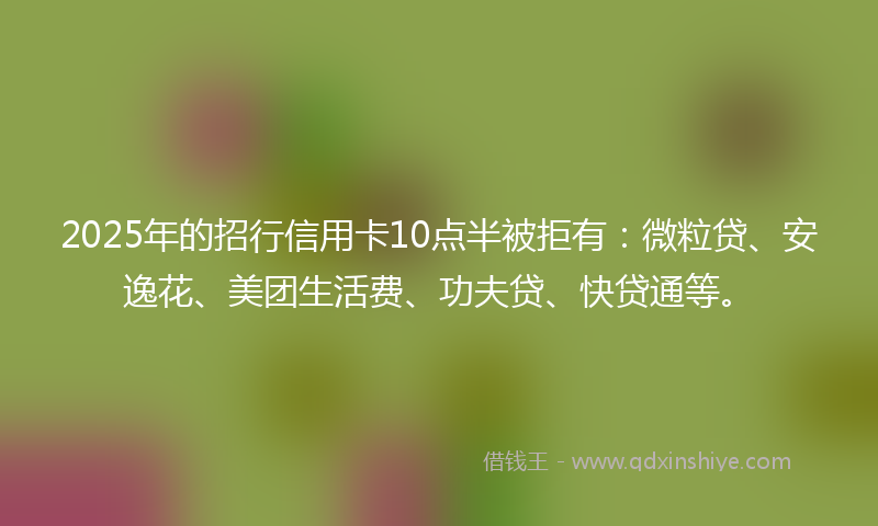 2025年的招行信用卡10点半被拒有：微粒贷、安逸花、美团生活费、功夫贷、快贷通等。