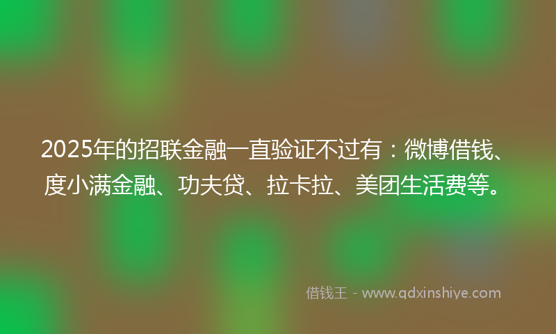 2025年的招联金融一直验证不过有：微博借钱、度小满金融、功夫贷、拉卡拉、美团生活费等。