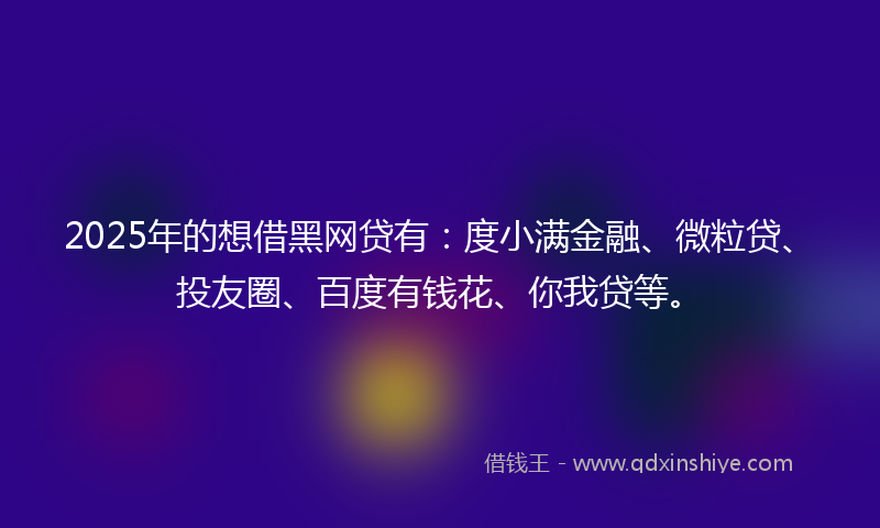 2025年的想借黑网贷有：度小满金融、微粒贷、投友圈、百度有钱花、你我贷等。