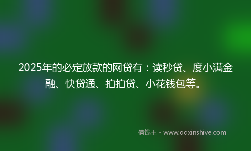 2025年的必定放款的网贷有：读秒贷、度小满金融、快贷通、拍拍贷、小花钱包等。
