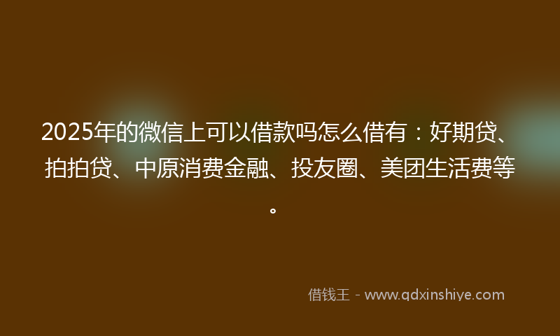 2025年的微信上可以借款吗怎么借有：好期贷、拍拍贷、中原消费金融、投友圈、美团生活费等。
