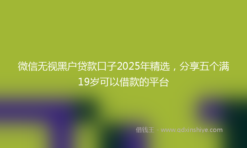 微信无视黑户贷款口子2025年精选，分享五个满19岁可以借款的平台