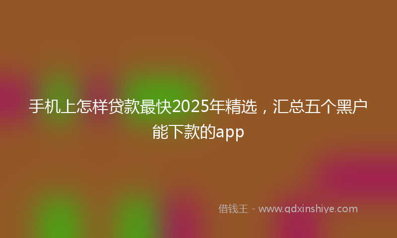 手机上怎样贷款最快2025年精选，汇总五个黑户能下款的app