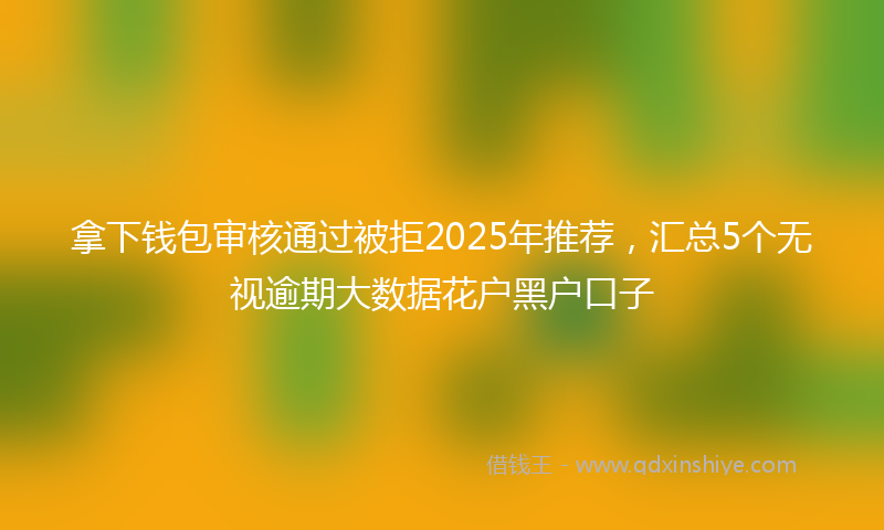 拿下钱包审核通过被拒2025年推荐，汇总5个无视逾期大数据花户黑户口子