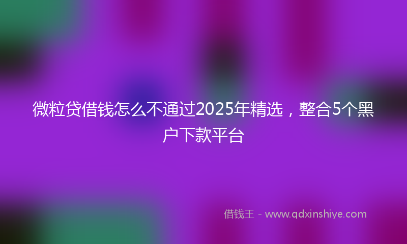 微粒贷借钱怎么不通过2025年精选，整合5个黑户下款平台