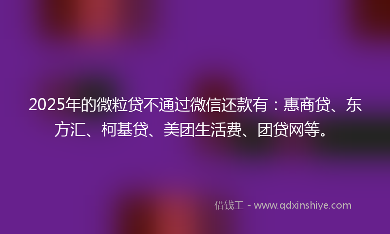 2025年的微粒贷不通过微信还款有：惠商贷、东方汇、柯基贷、美团生活费、团贷网等。
