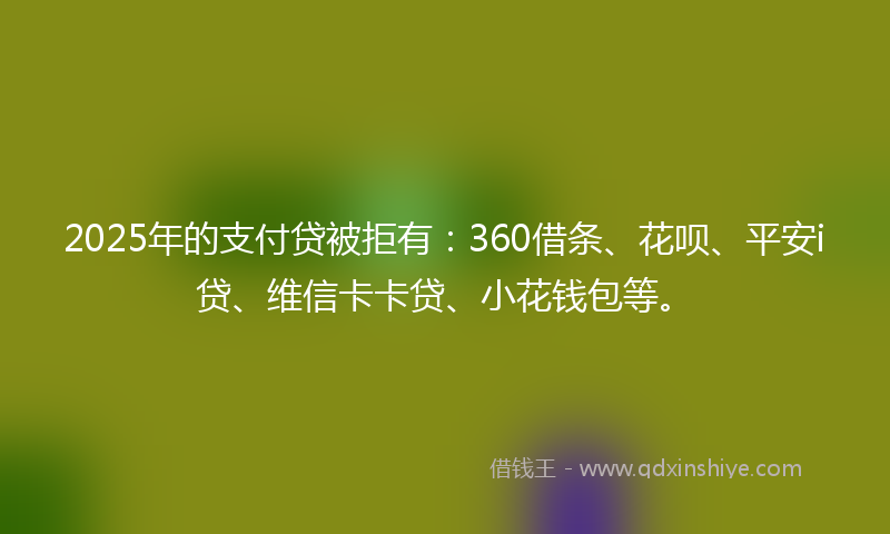 2025年的支付贷被拒有：360借条、花呗、平安i贷、维信卡卡贷、小花钱包等。