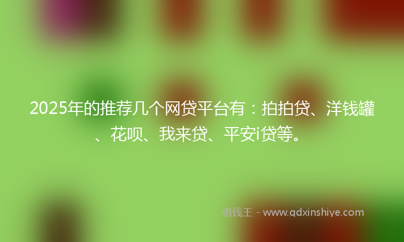 2025年的推荐几个网贷平台有：拍拍贷、洋钱罐、花呗、我来贷、平安i贷等。