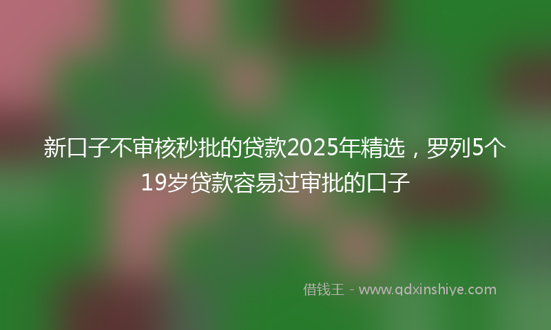 新口子不审核秒批的贷款2025年精选，罗列5个19岁贷款容易过审批的口子