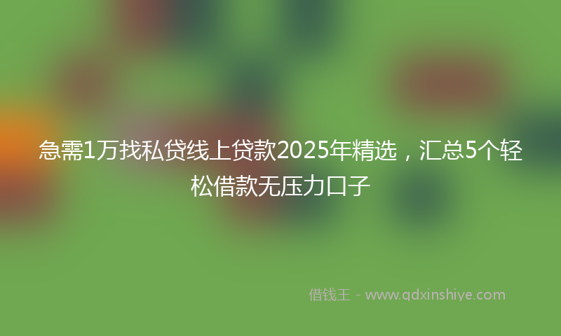 急需1万找私贷线上贷款2025年精选，汇总5个轻松借款无压力口子