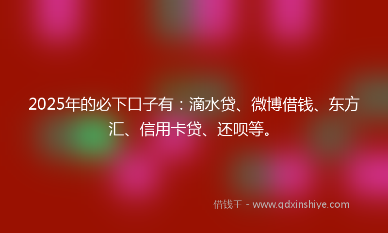 2025年的必下口子有：滴水贷、微博借钱、东方汇、信用卡贷、还呗等。