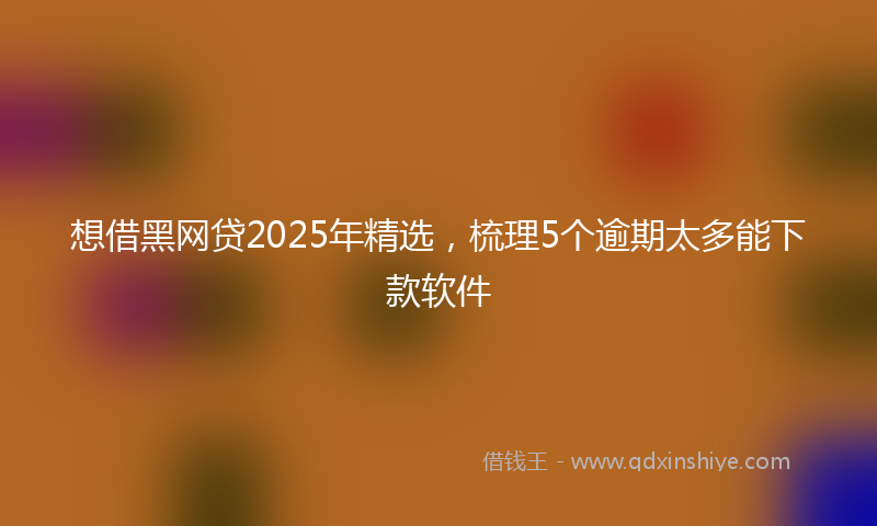 想借黑网贷2025年精选，梳理5个逾期太多能下款软件