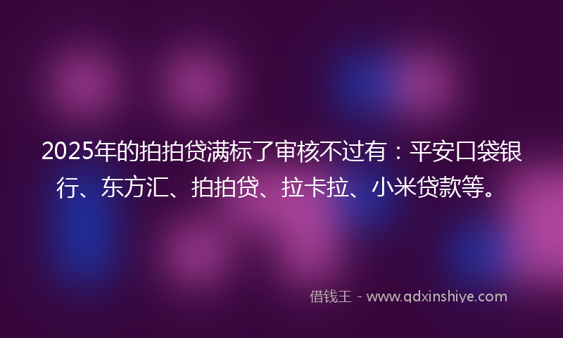 2025年的拍拍贷满标了审核不过有：平安口袋银行、东方汇、拍拍贷、拉卡拉、小米贷款等。