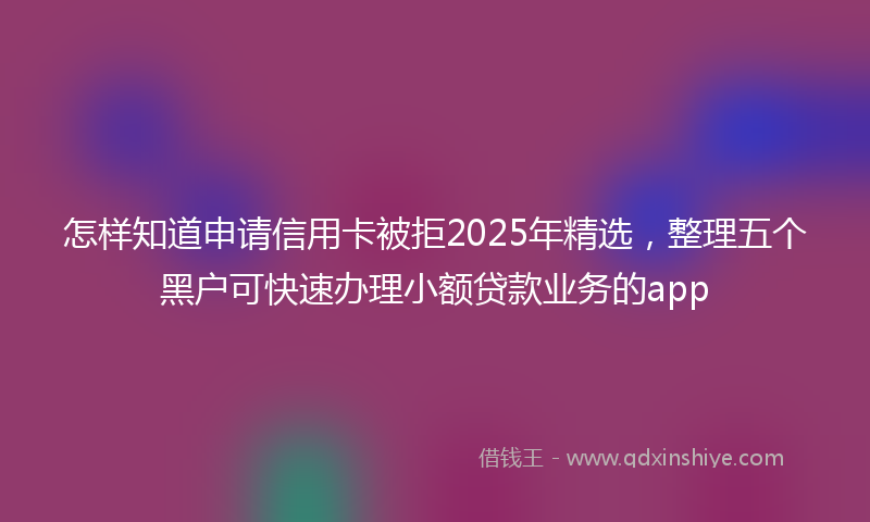 怎样知道申请信用卡被拒2025年精选，整理五个黑户可快速办理小额贷款业务的app