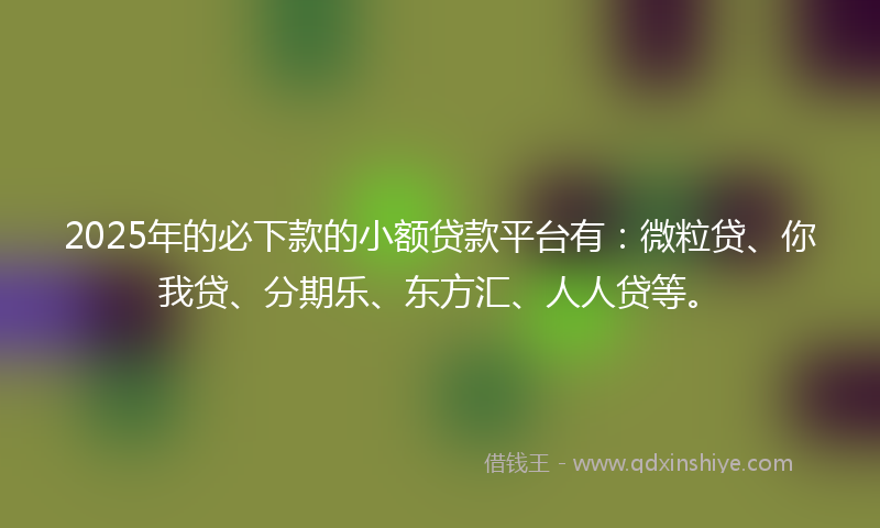 2025年的必下款的小额贷款平台有：微粒贷、你我贷、分期乐、东方汇、人人贷等。