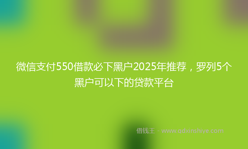 微信支付550借款必下黑户2025年推荐，罗列5个黑户可以下的贷款平台