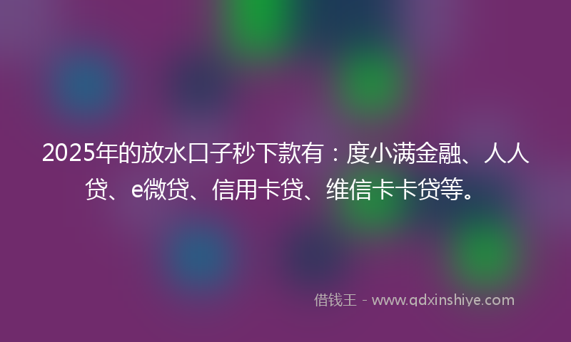 2025年的放水口子秒下款有：度小满金融、人人贷、e微贷、信用卡贷、维信卡卡贷等。