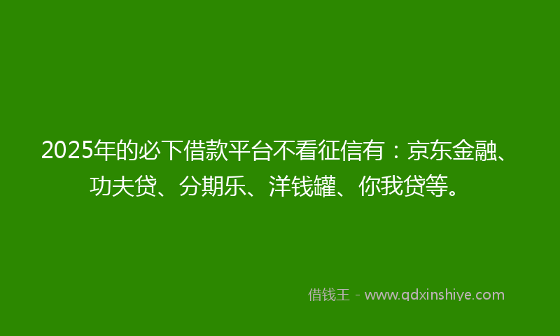 2025年的必下借款平台不看征信有：京东金融、功夫贷、分期乐、洋钱罐、你我贷等。