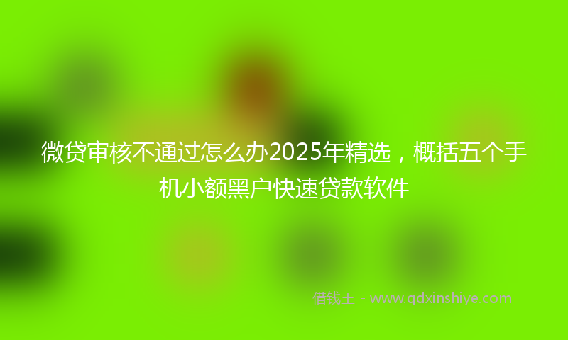 微贷审核不通过怎么办2025年精选，概括五个手机小额黑户快速贷款软件